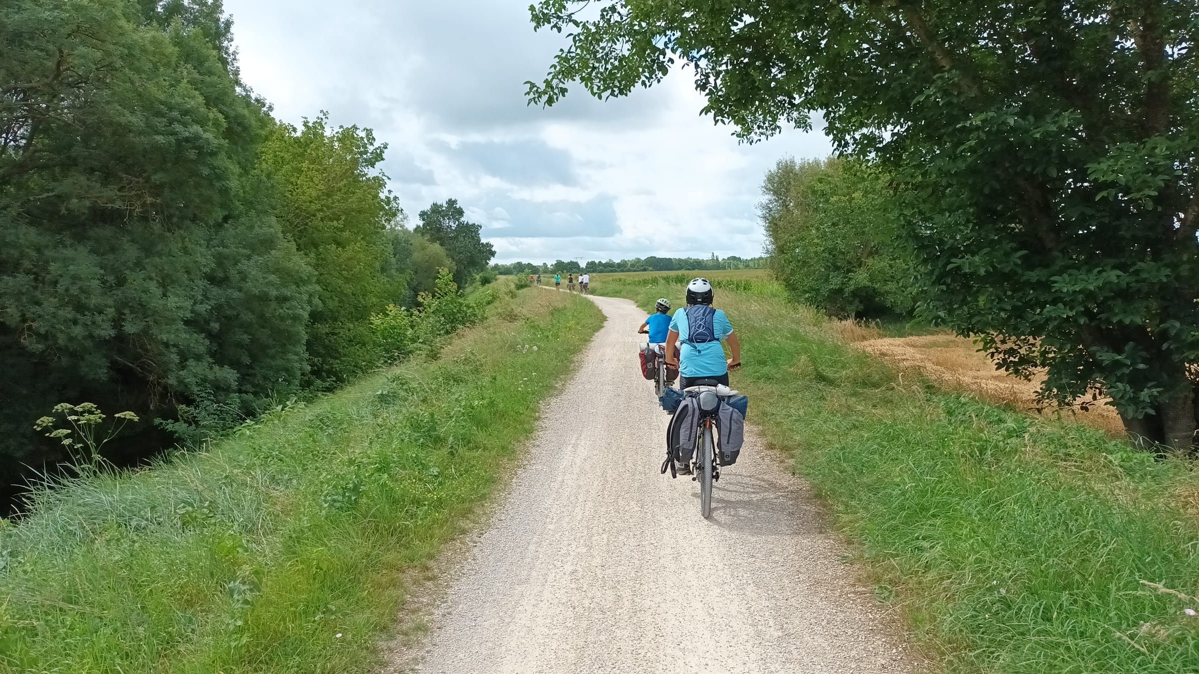 Un cycliste sur un chemin bordé d’arbres, le long de la Loire